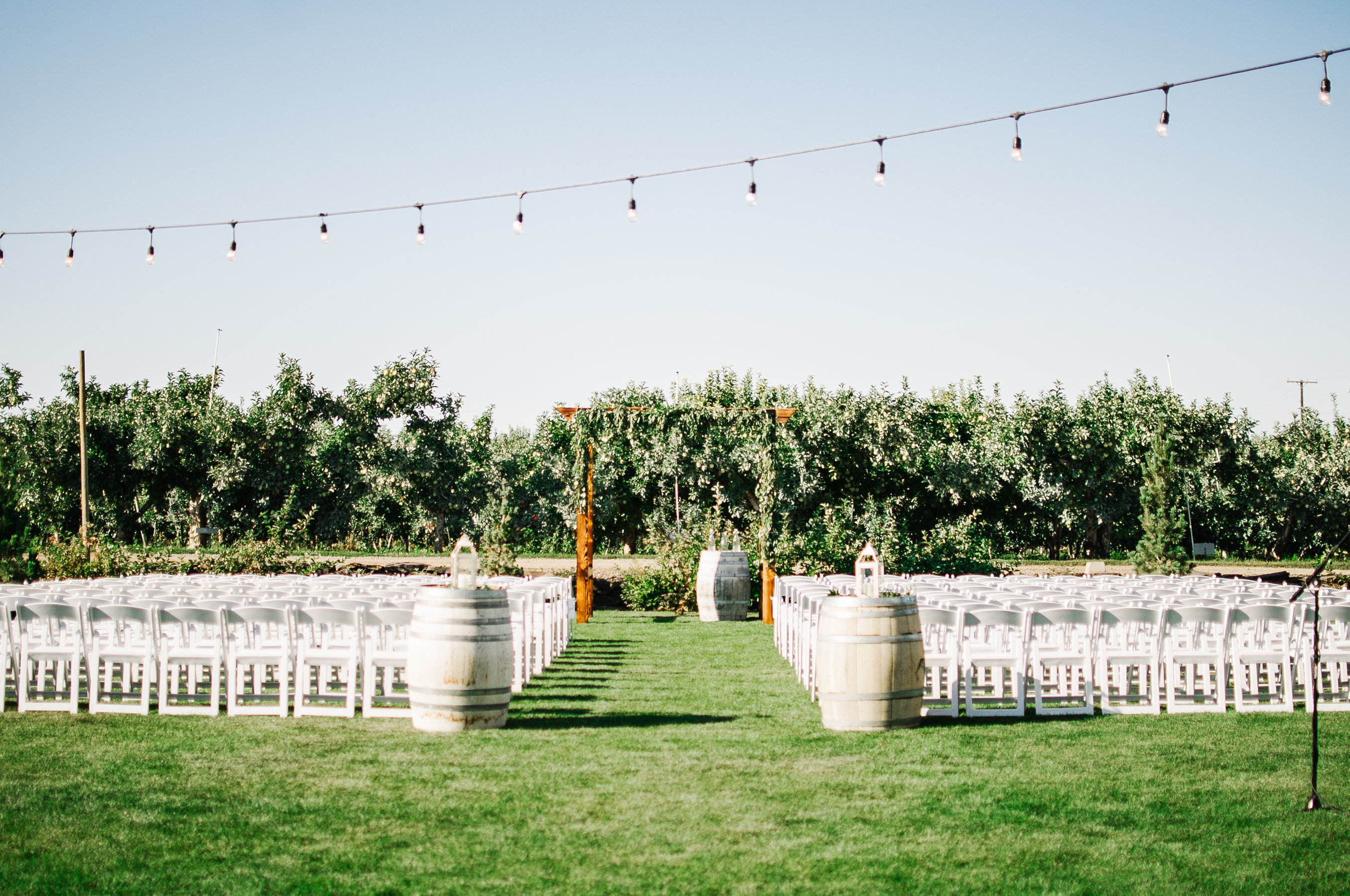 Nuptials on the event lawn.